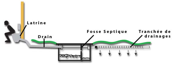 Traitement liquide de fosse septique